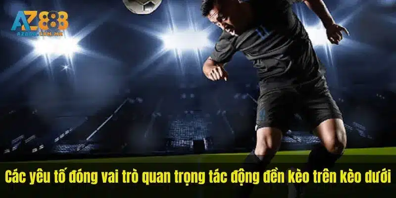 Các yêu tố đóng vai trò quan trọng tác động đền kèo trên kèo dưới